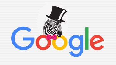 الگوریتم گورخر گوگل چیست؟