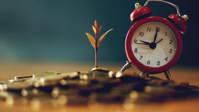 بهترین سرمایه گذاری بلند مدت در ایران