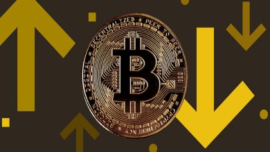 بیت کوین، ابزاری مناسب برای سرمایه گذاری بلند مدت