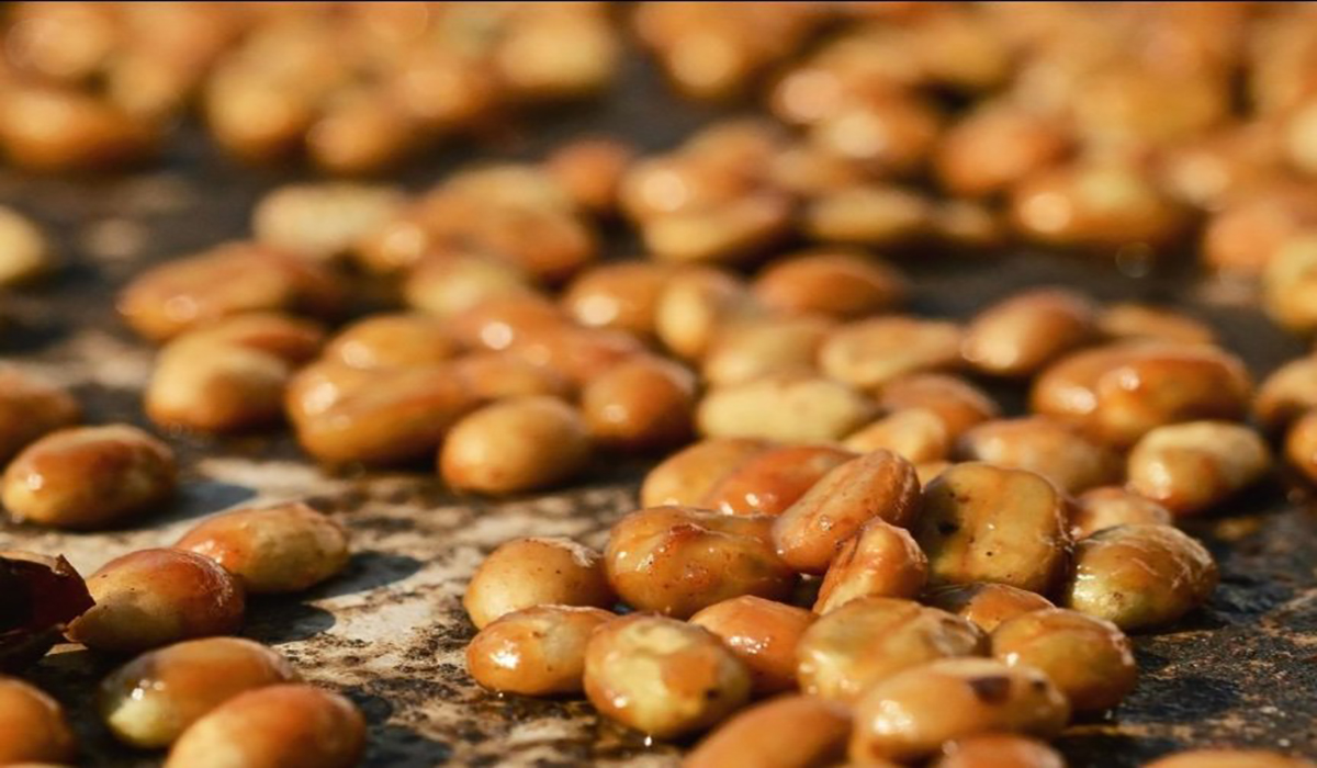 فرآوری عسلی قهوه